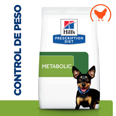 Hill's Prescription Diet Metabolic Mini Weight Loss ração para cães